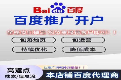 百度竞价推广在电商领域的赚钱案例